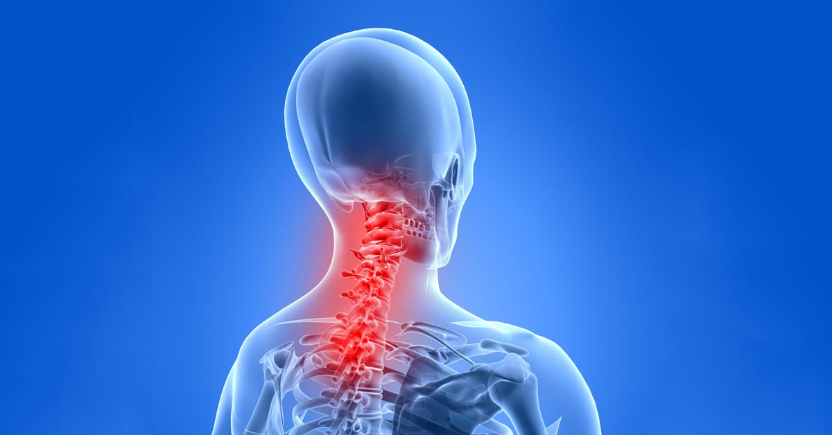 Chiropractic Hove, SXE